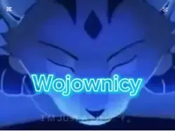 To widzę w wojo 