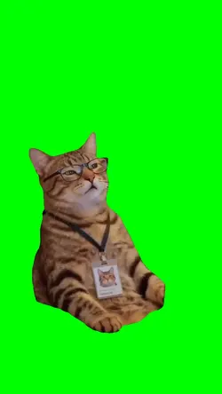 TIRED CAT