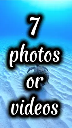 slideshow