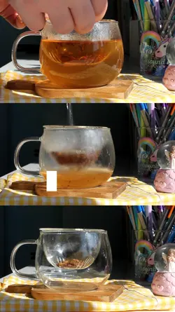 Morning Tea