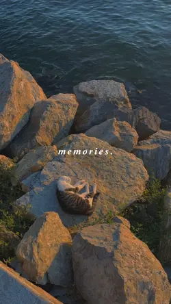 memories
