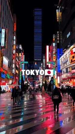 Tokyo at Night