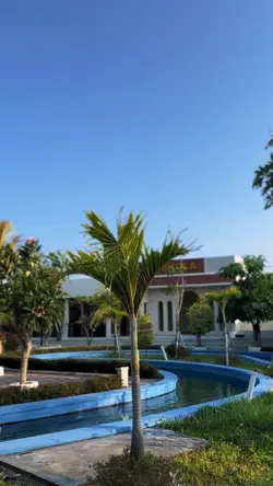 5 CLIP VIDEO 