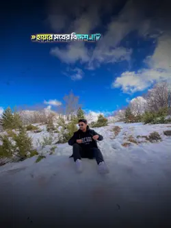 শখের বিদেশ 