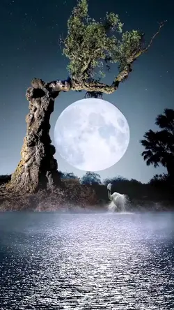 Ghép mặt trăng 