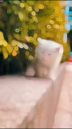 Cat Video Trending