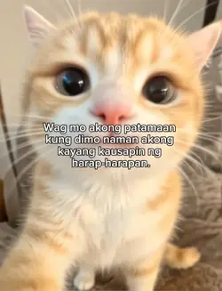 harap-harapan 