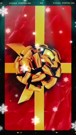 christmas gift ideas