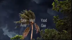 Meri Yaad 