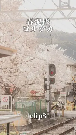 春泥棒/ヨルシカ