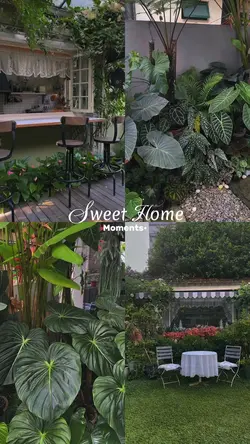 Sweet Home Moments