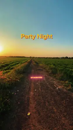 Party Night 