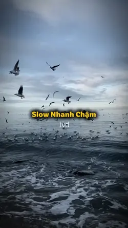 1vd Slow nhanh Chậm