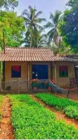 Buổi sáng bình yên 