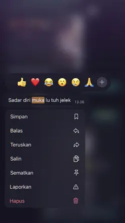 VERSI NO MIRROR
