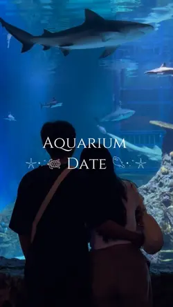 Aquarium Date (fix)