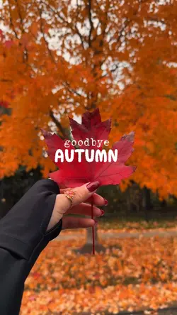 goodbye autumn