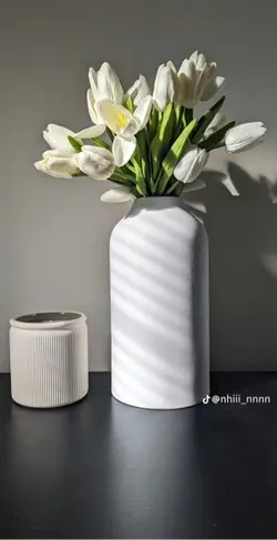 1 ảnh 