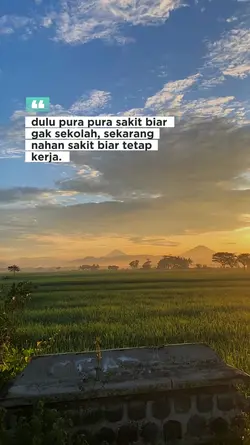story wa 