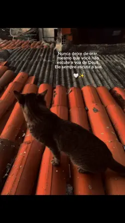 nunca deixe de orar