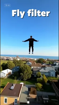 Fly filter 