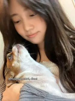 ibnu jangan emot