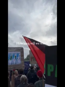 🇵🇸🇵🇸