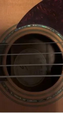 Record guitar 