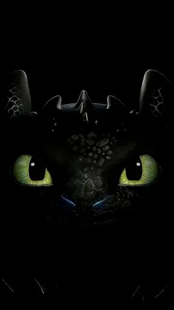 Little Black Dragon