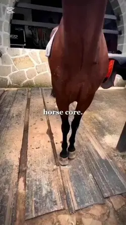 horse coree