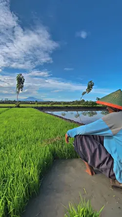 1VIDEO JERNIH