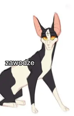 Wysoka Gwiazda