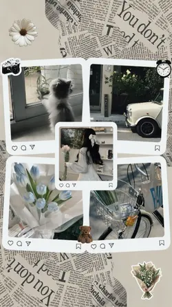 frame aesthetic