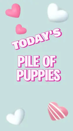 Newborn Puppies