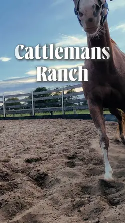 Cattlemans Ranch
