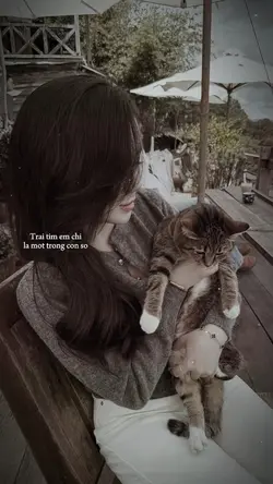 Lyrics + màu
