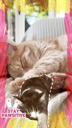 Cat day template