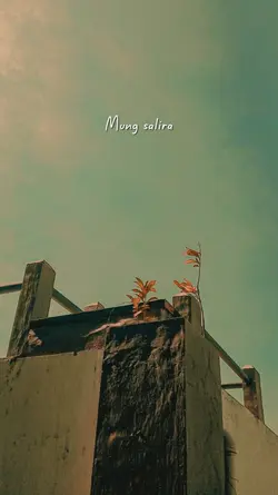MUNG SALIRA 