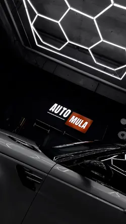 Car detailing
