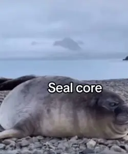 Seal 🦭 