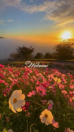 welcome spring