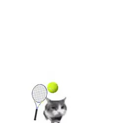 MEME CAT BADMINTON