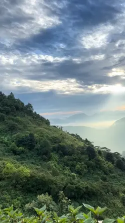 edit temple 