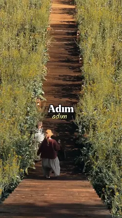 Adım adım yeğen
