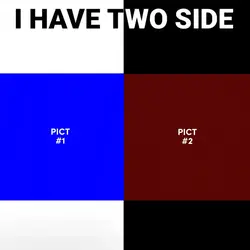 I HAVE TWO SIDE