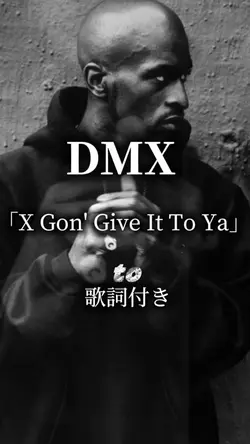 DMX   X