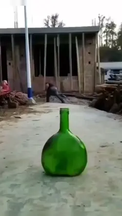 hook video