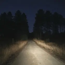 Song