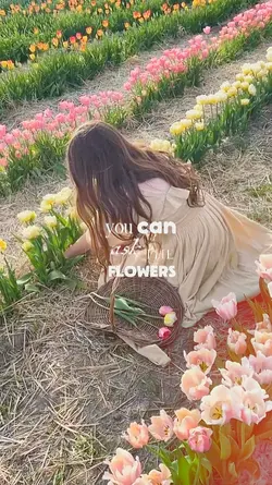 the flower 