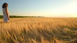1 video 